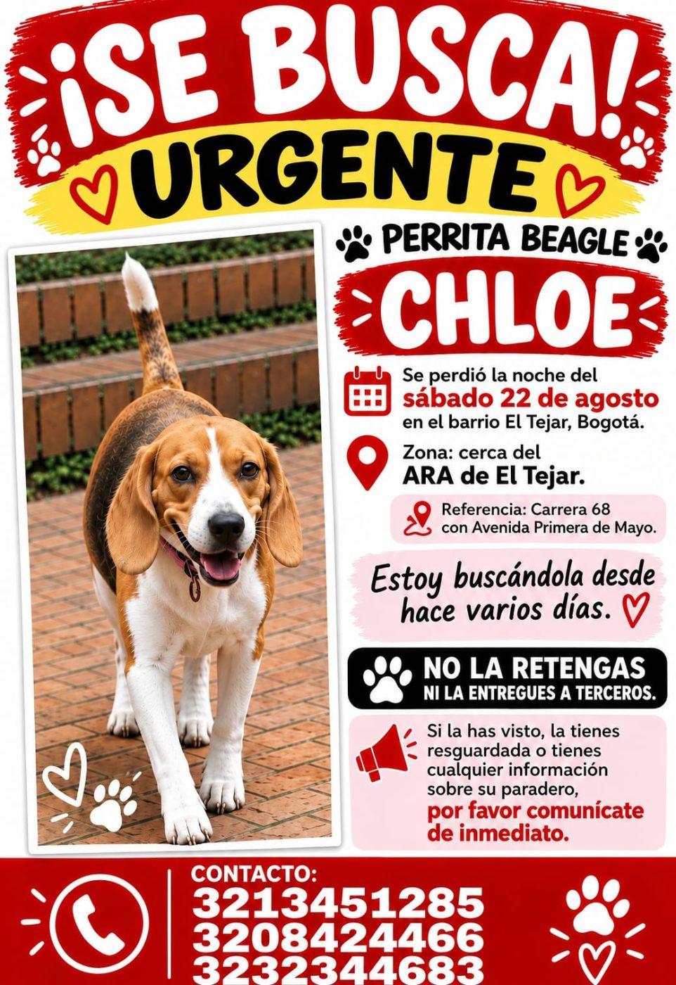 Foto de Chloe