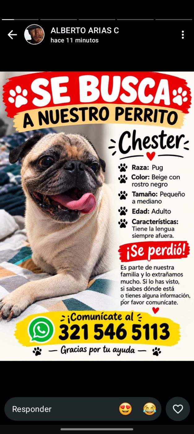Foto de Chester