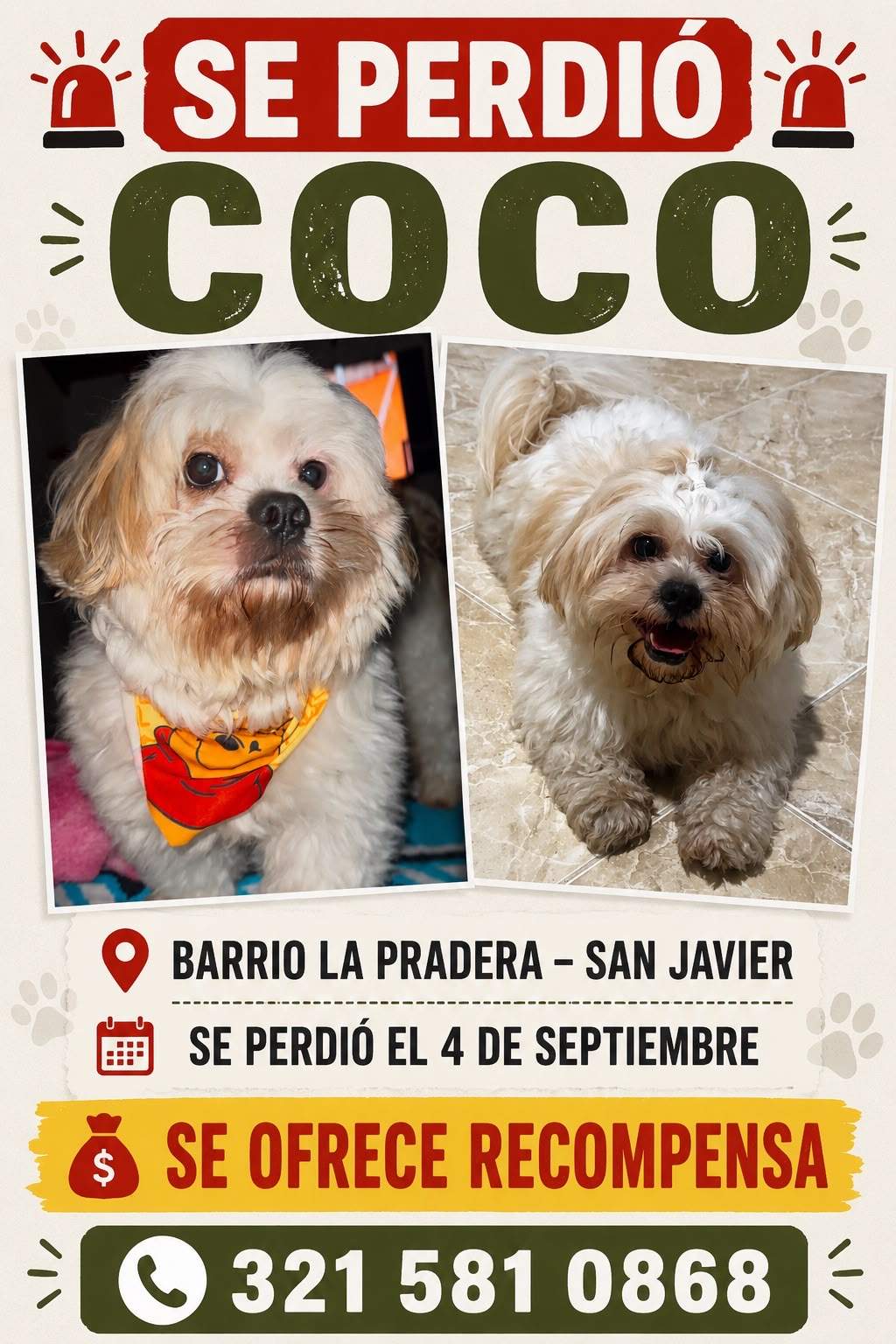 Foto de Coco