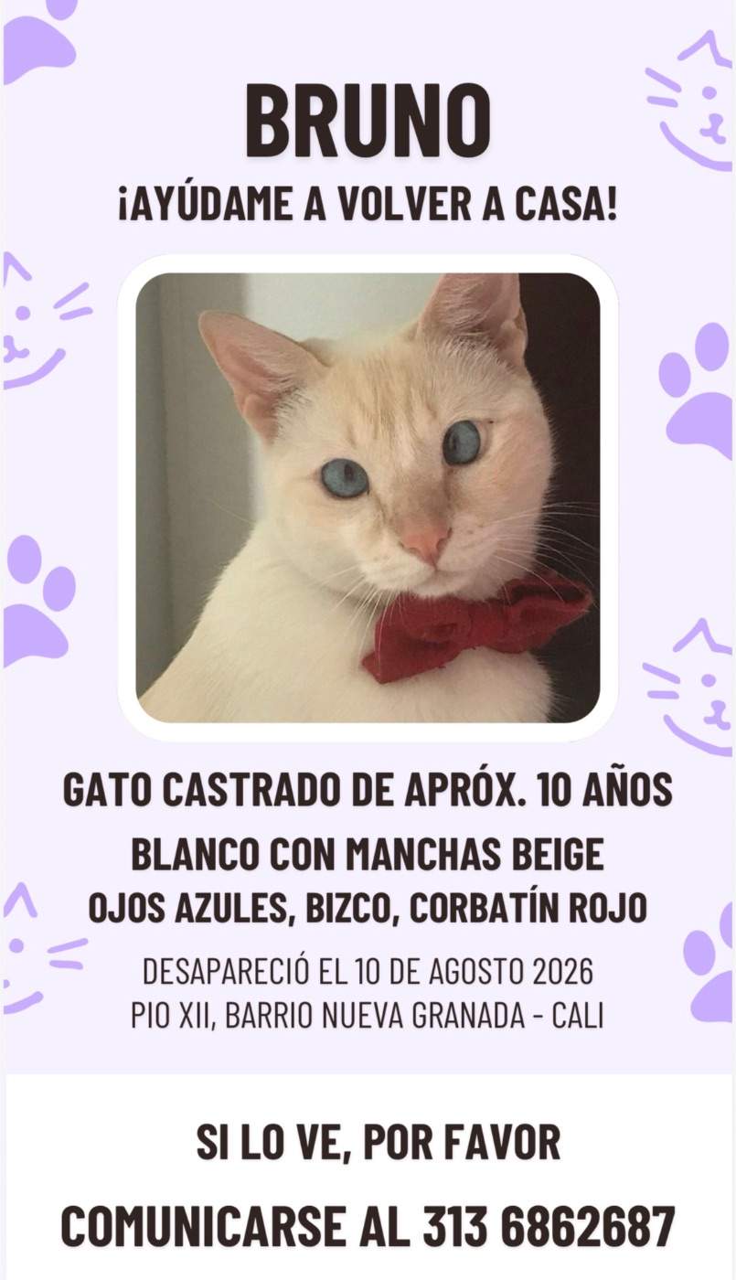 Foto de Bruno