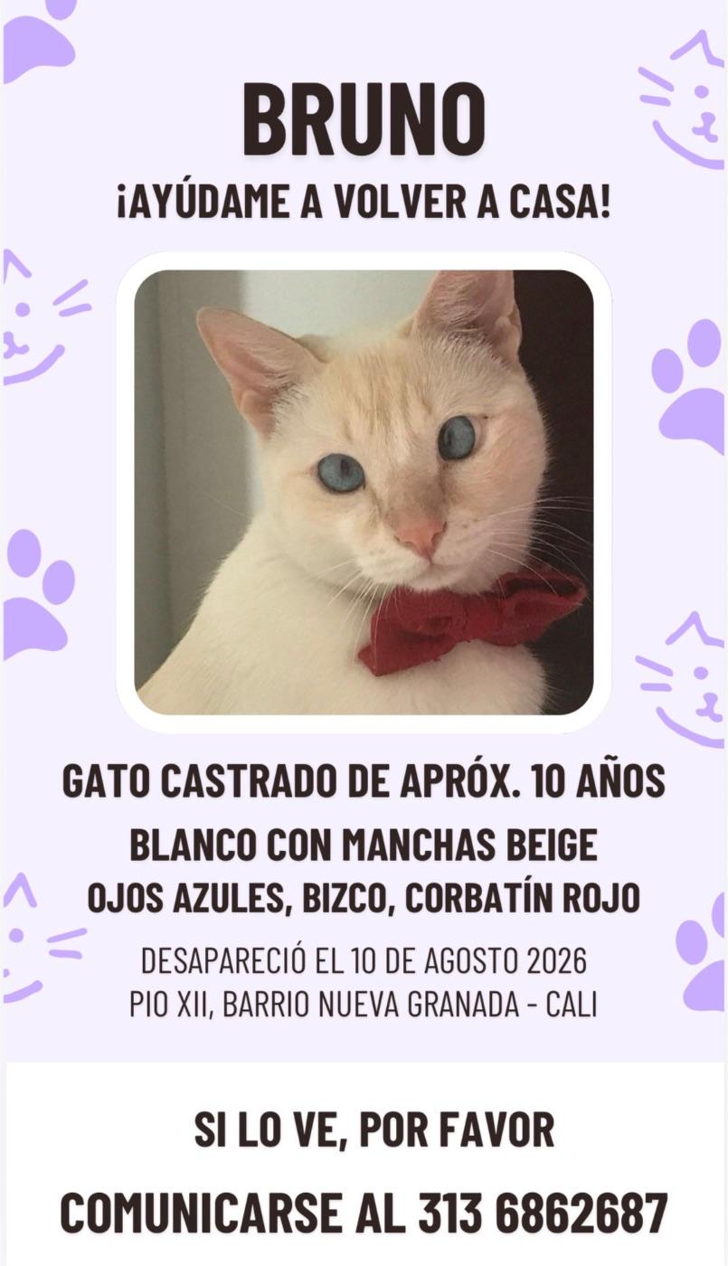 Foto de Bruno