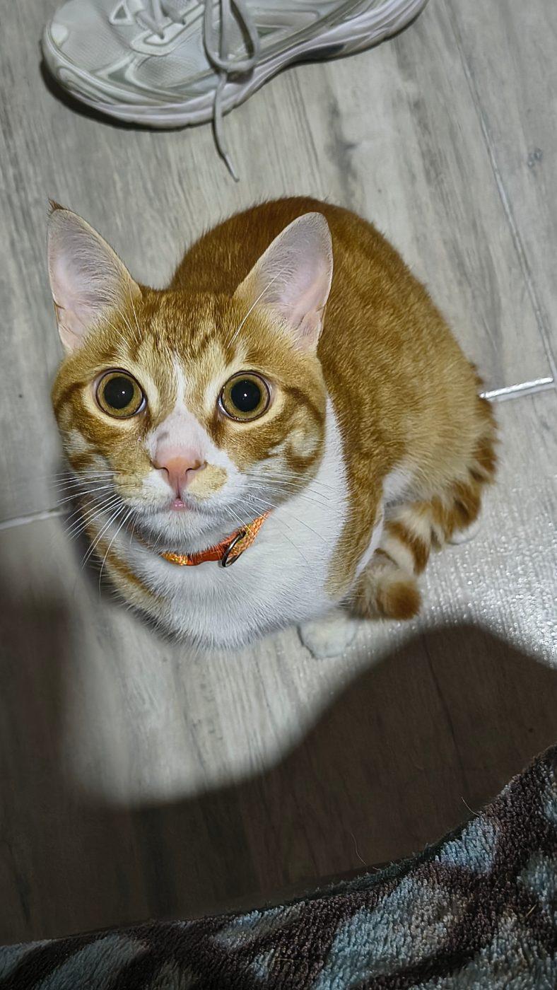 Foto de Benjamín