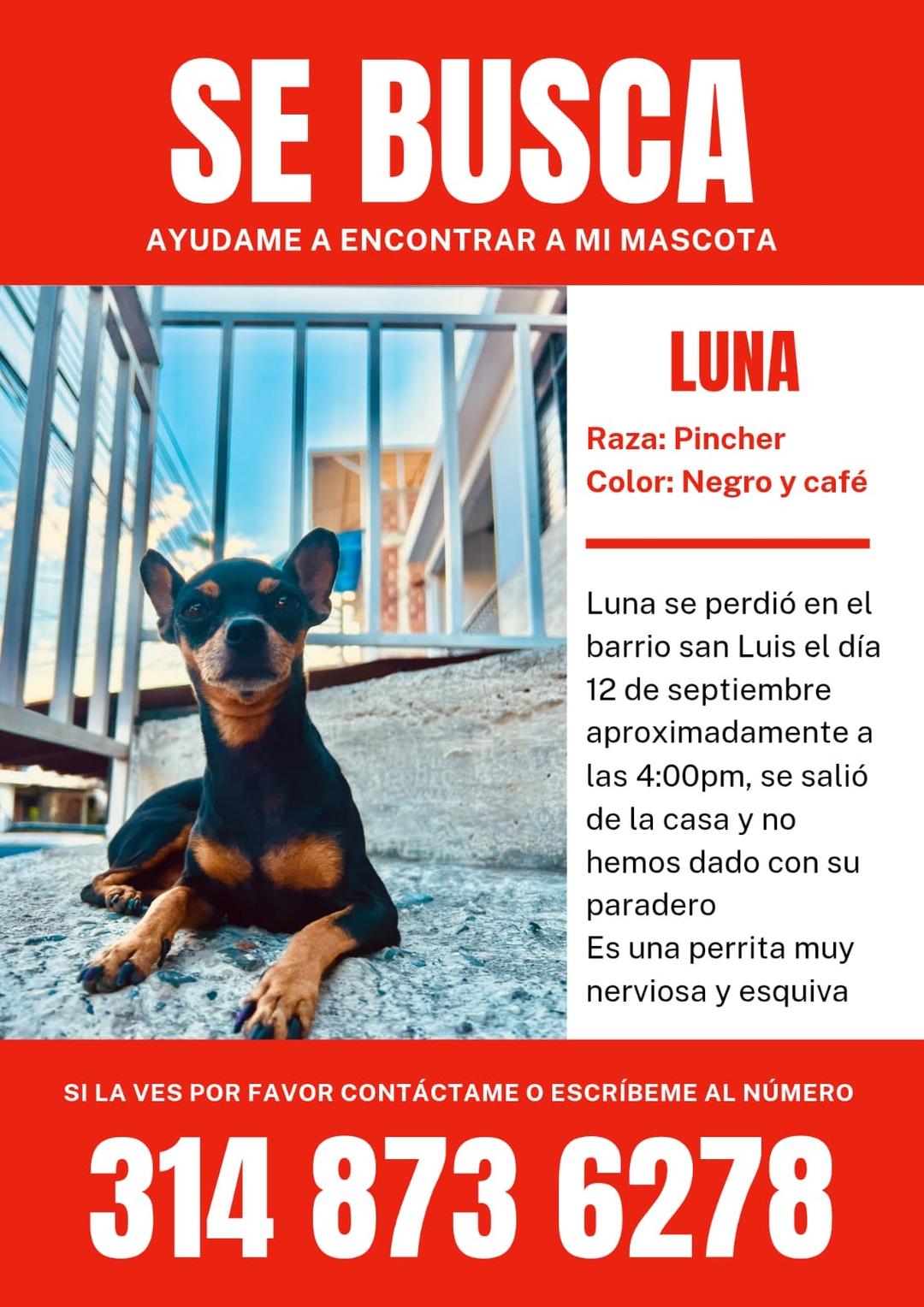 Foto de Luna
