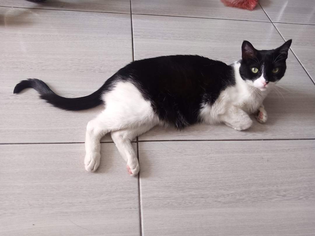 Foto de Ataraxia
