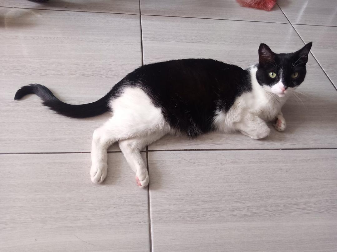 Foto de Ataraxia