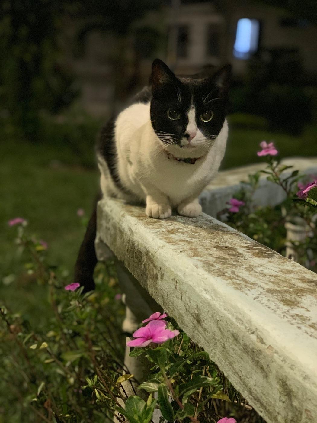 Foto de Antonia