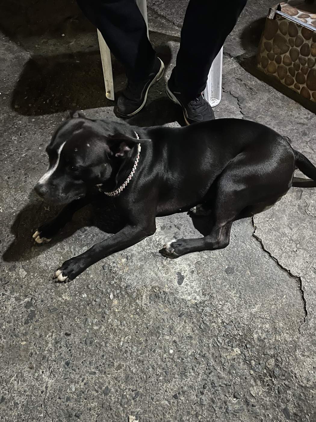 Foto de Sin nombre