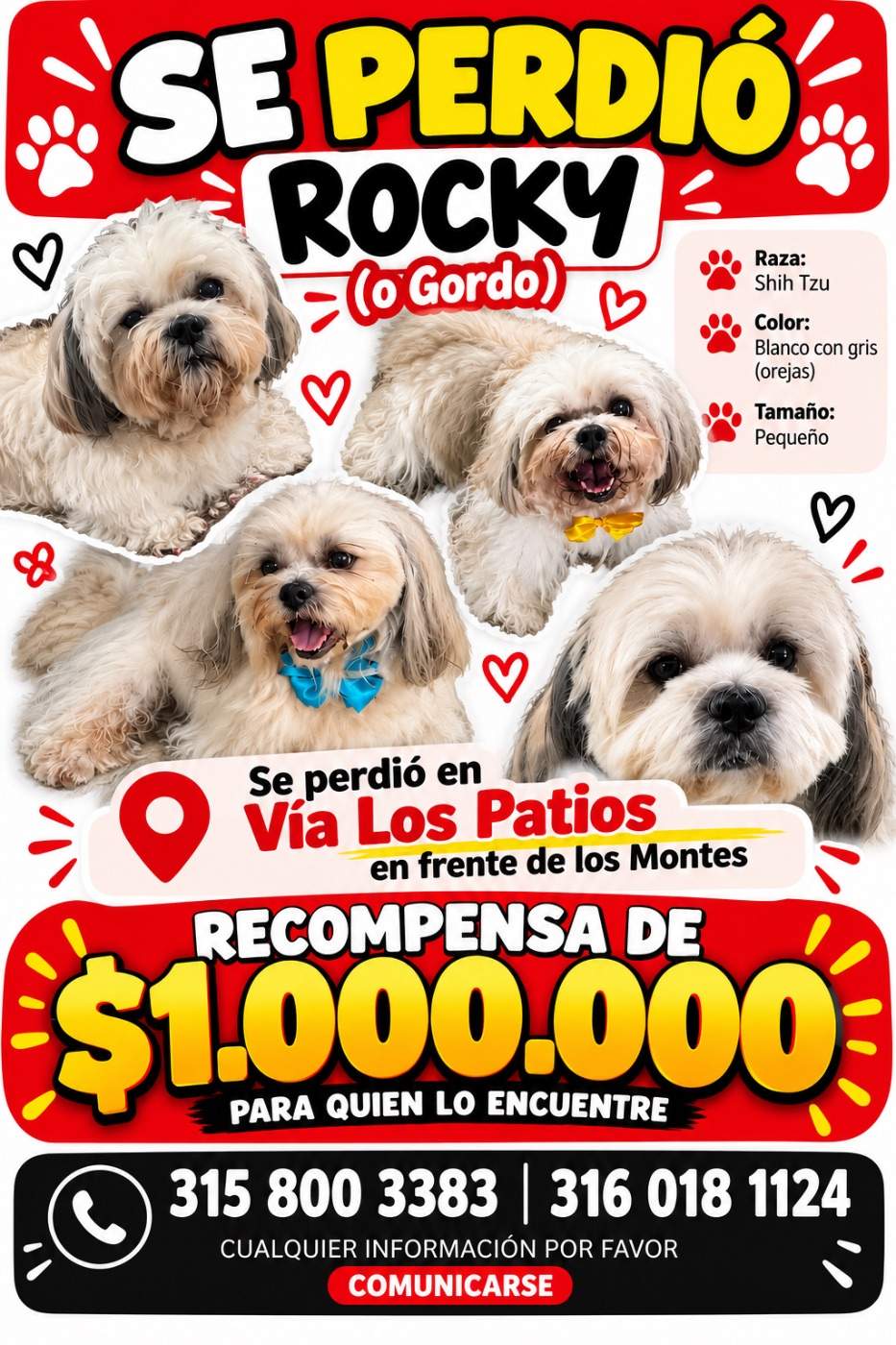 Foto de Rocky