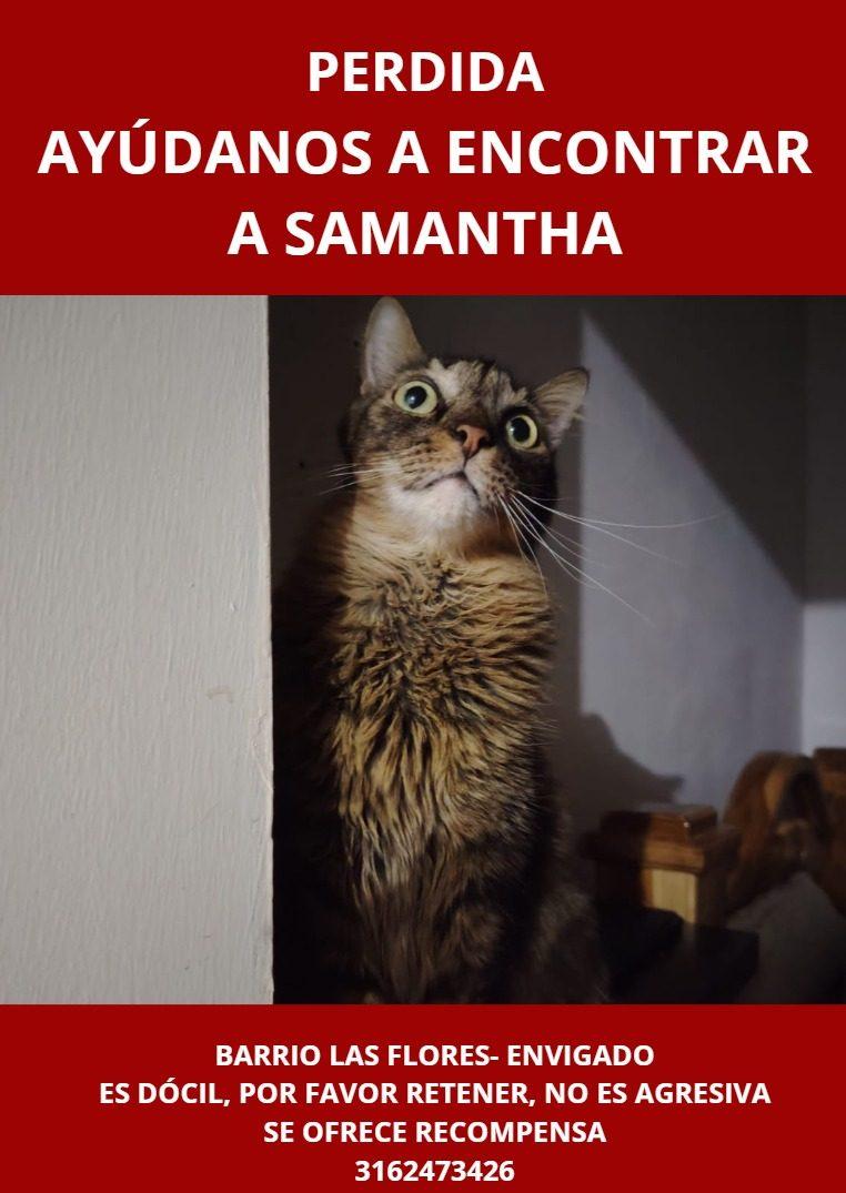 Foto de Samantha
