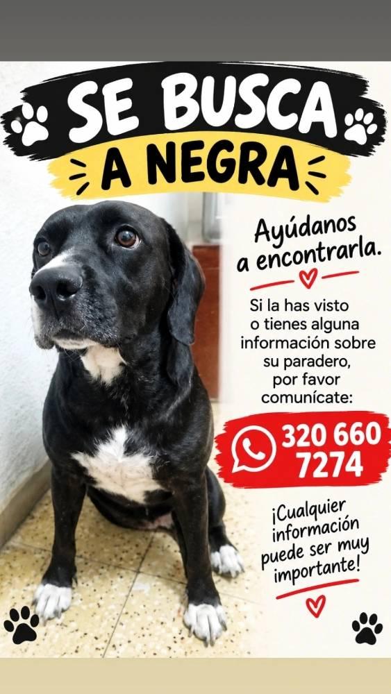 Foto de Negra