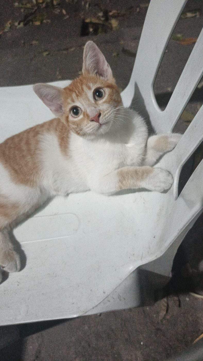 Foto de Kiara