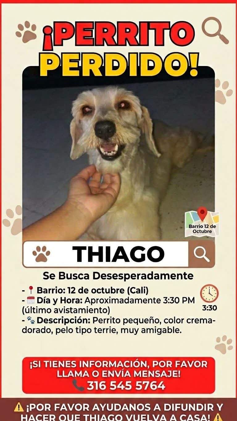 Foto de Thiago