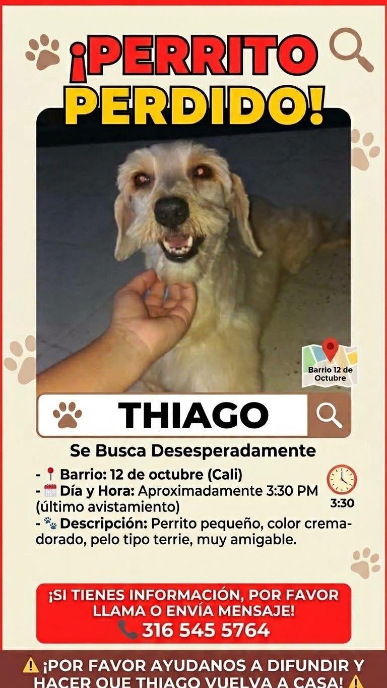 Foto de Thiago