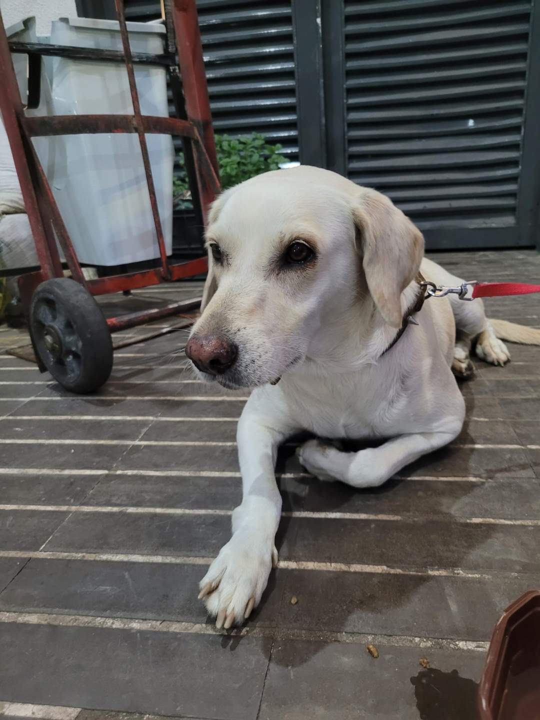 Foto de Jaqueline