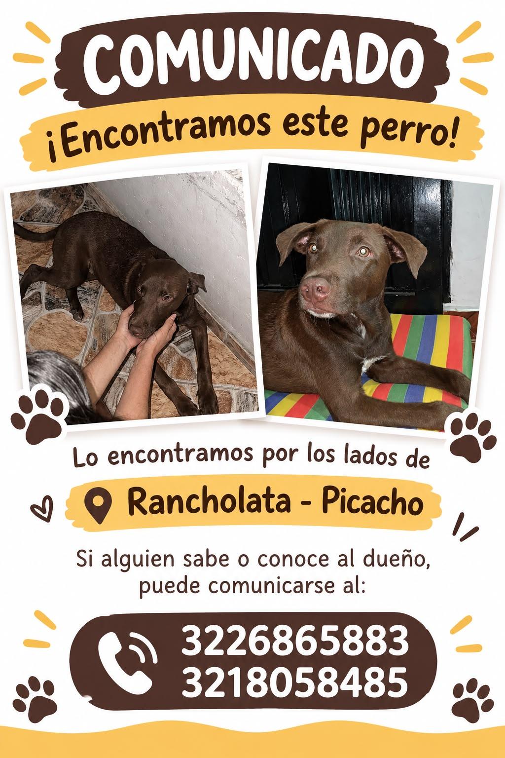 Foto de No lo sé